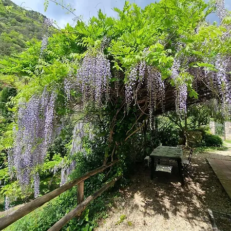 Casetta Indipendente Al Mare