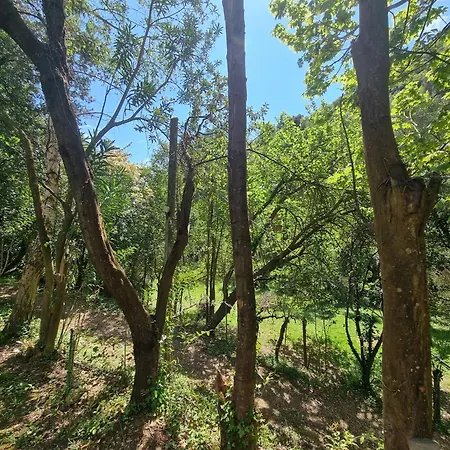 Casetta Indipendente Al Mare Finale Ligure