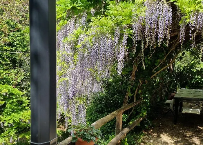 Casa de Férias Casetta Indipendente Al Mare *