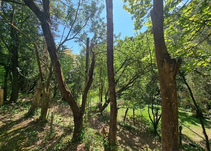 Casetta Indipendente Al Mare Finale Ligure